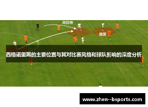 西格诺里踢的主要位置与其对比赛风格和球队影响的深度分析
