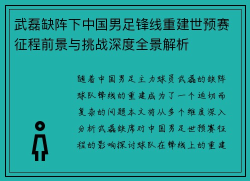 武磊缺阵下中国男足锋线重建世预赛征程前景与挑战深度全景解析